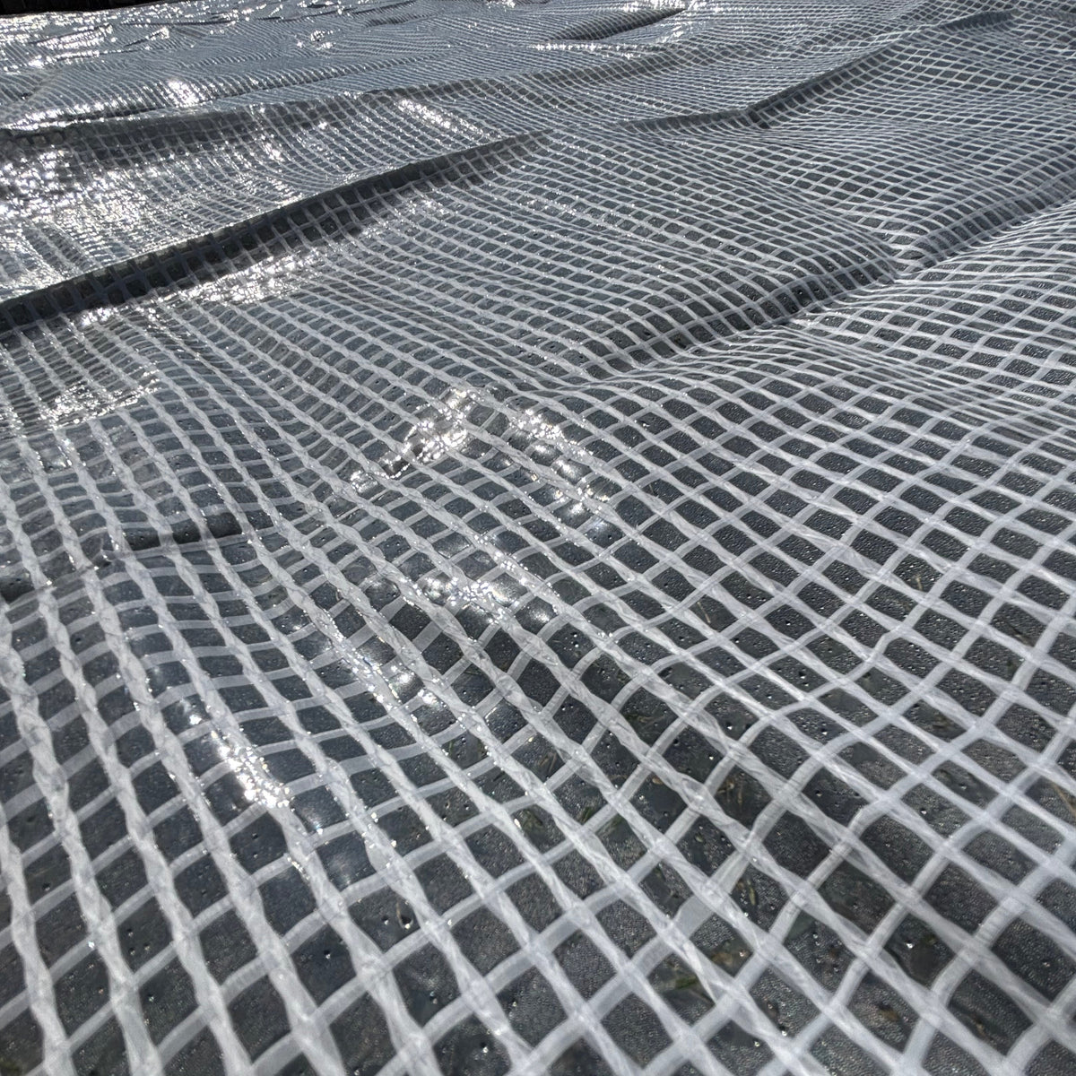 Flat Sheet 210gsm
